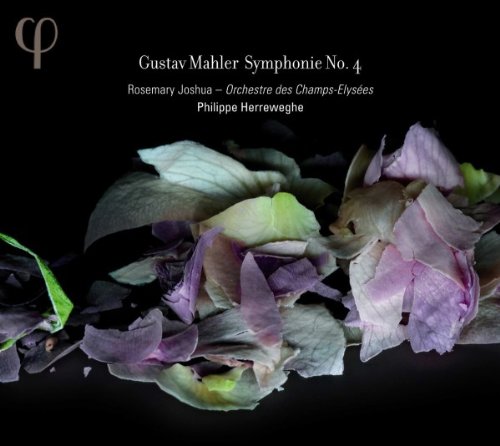 "CD cover with purple and green flower petals on a black background."