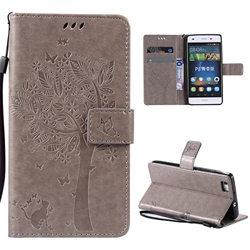 Apajalahti / Seitakuoro Chamber Choir - Visions Of The North [CD]