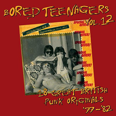 Various Artists - V/A - Bored Teenagers Vol 12 LP / VINYL + A5 BOOKLET [VINYL]