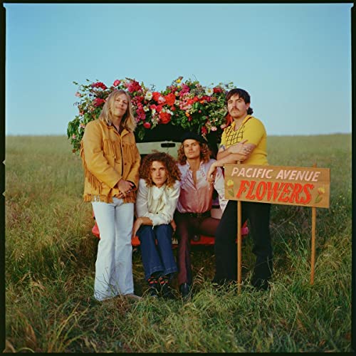 Four people with a car full of flowers in a field.