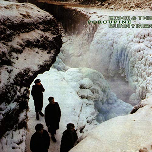 Various - Porcupine [VINYL]