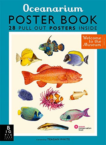 Oceanarium Poster Book (Welcome To The Museum)