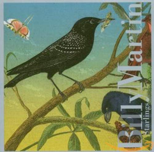 "Album cover with a black bird holding a butterfly on a branch."