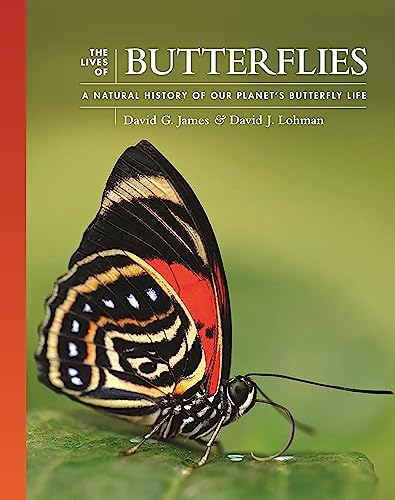 The Lives of Butterflies: A Natural History of Our Planet's Butterfly Life: 6 (The Lives of the Natural World, 6)