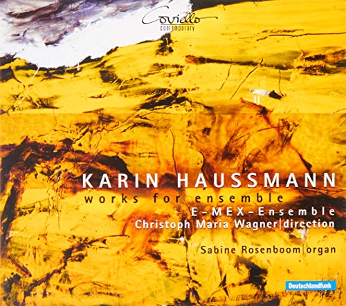 "CD cover with abstract yellow and black background, featuring white and black text."