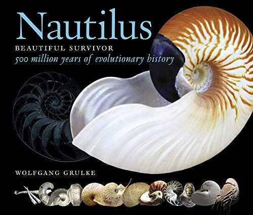 Nautilus: Beautiful Survivor. 500 Million Years of Evolutionary History: Part 2 (The Deep Time Trilogy)