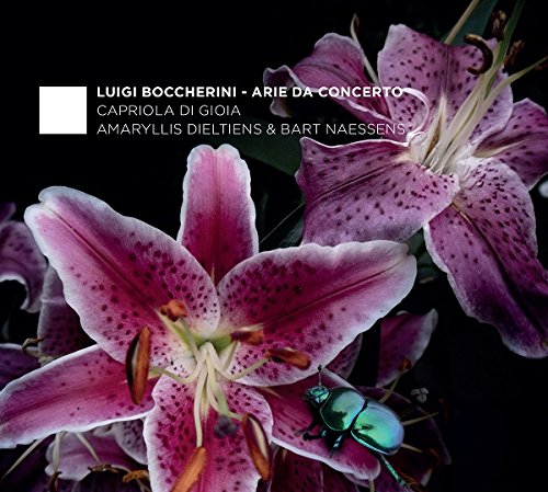 "CD cover featuring pink lilies and a beetle against a black background."