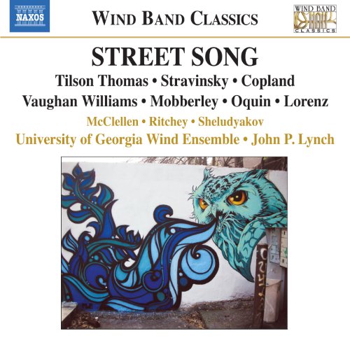 "CD cover featuring a blue owl mural on a white wall."