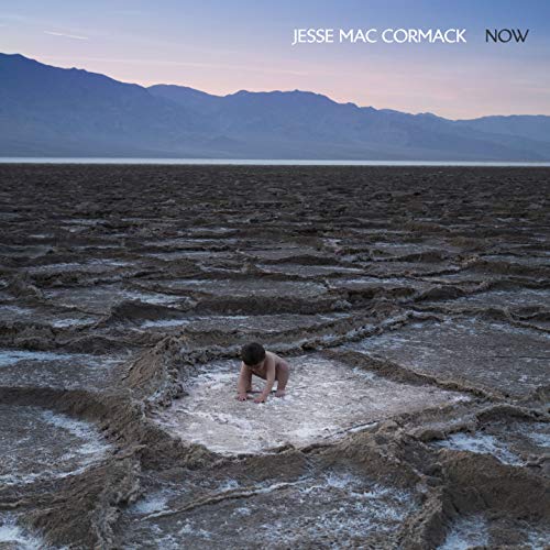 Album cover with man crouching in cracked mud, mountains in the background.