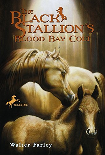 Black Stallion's Blood Bay Colt (Black Stallion (Paperback)): (reissue)