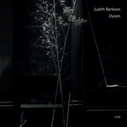 The alt text for the image is: "CD cover with dark background, sparse foliage, and artist's name."