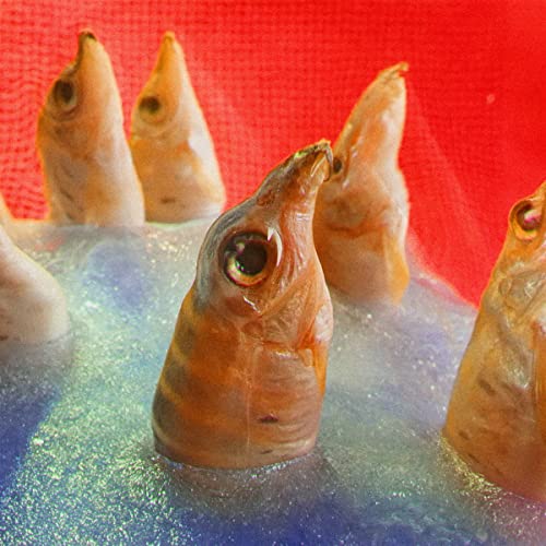 Harvey Rushmore & The Octopus - FREEDOMSPACECAKE [VINYL]