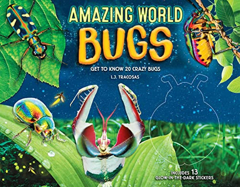 Amazing World: Bugs: Get to know 20 crazy bugs (1)