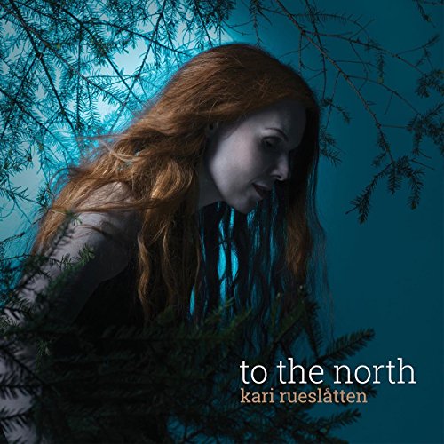 "Album cover featuring a woman surrounded by tree branches with text 'to the north'."