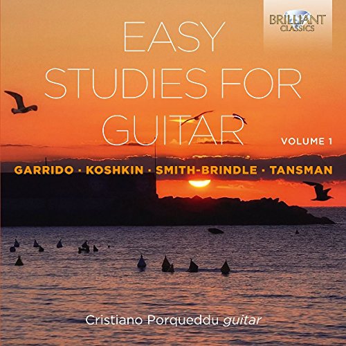"Guitar CD cover with orange sunset, birds, and text 'Easy Studies for Guitar Volume 1'."