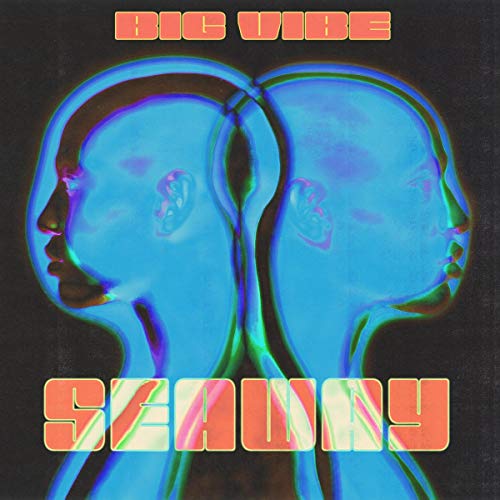 A vinyl record cover featuring two blue, mirrored faces with orange text "Big Vibe Szummy".