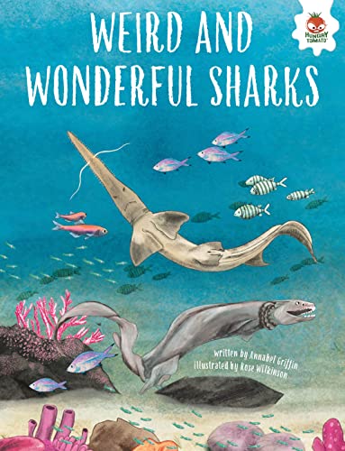 WEIRD AND WONDERFUL SHARKS: Shark Safari STEM