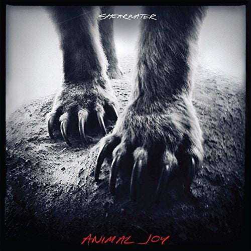 "Album cover with a black-and-white bear's paws on the ground, titled 'Animal Joy'."
