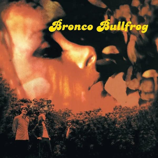 Various - Bronco Bullfrog [VINYL]