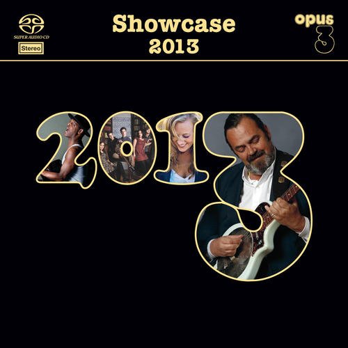 "Album cover with '2013' featuring various artists' photos on a dark background."
