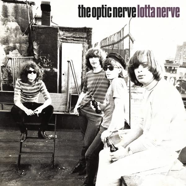 Various - Lotta Nerve [VINYL]