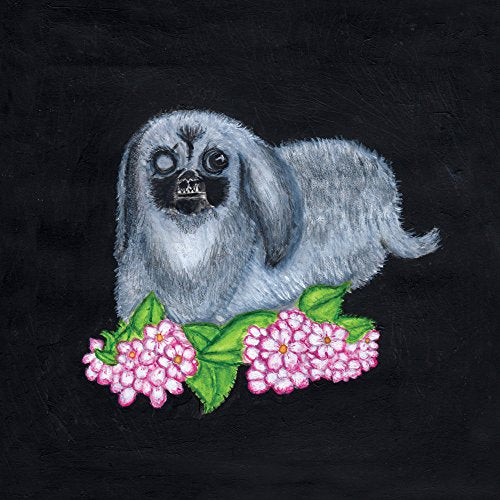 A grey dog with a black face lies beside pink flowers on a black background.
