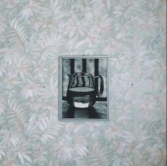 Other Houses - Didactic Debt Collectors [CD]