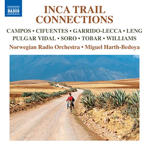 A CD cover featuring a person walking down a dirt road with mountains.