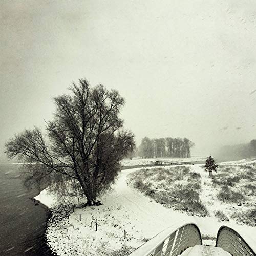 Beequeen - Winter [VINYL]