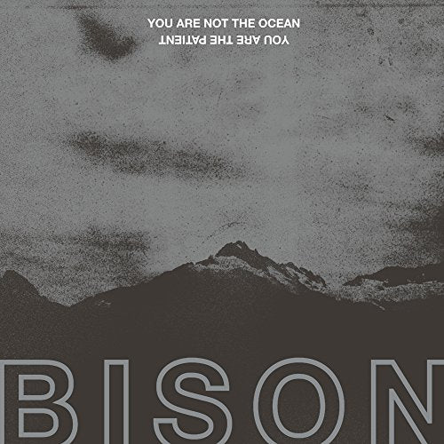 Bison - You Are Not The Ocean You Are The Patient [VINYL]