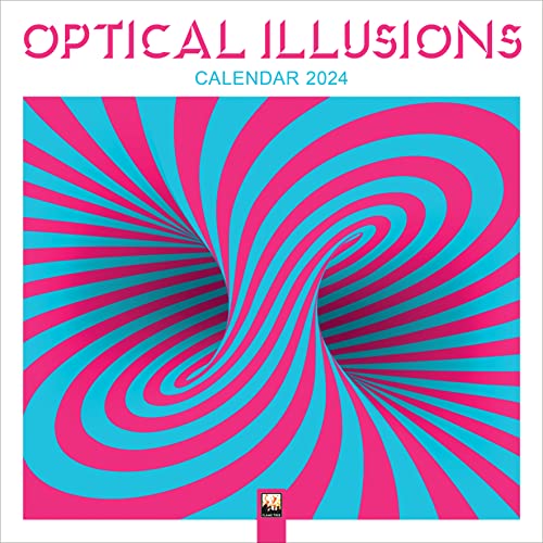 Optical Illusions Wall Calendar 2024 (Art Calendar): Original Flame Tree Publishing-Kalender [Kalender]