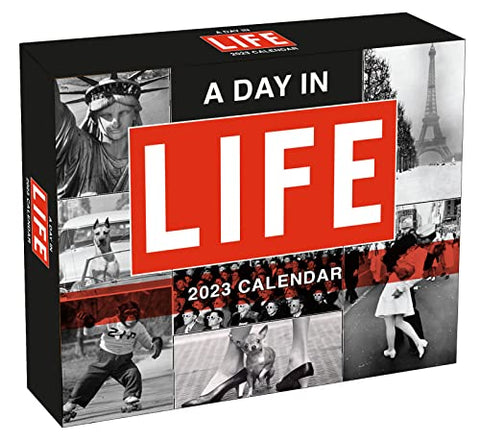 A Day in Life 2023 (BOXEDDAILY 365 DAY COMBINED)