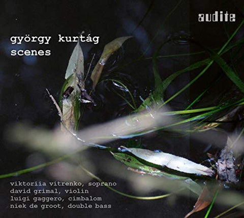 Vitrenko/grimal - Kurtag - Scenes [CD]