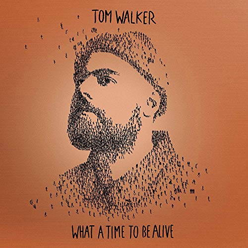 "Album cover with a man's portrait made of birds on an orange background."