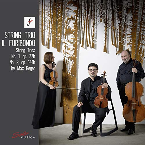 String Trio Il Furibondo - Max Reger: String Trios No. 1. Op. 77B And No. 2. Op. 141B [CD]