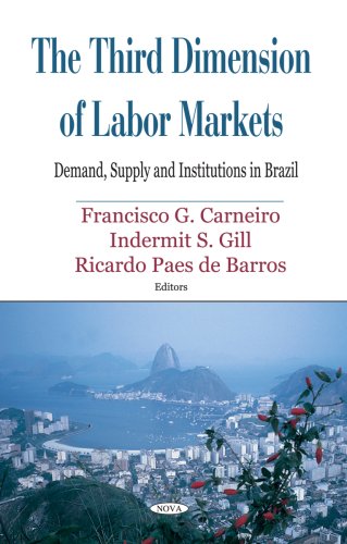 Third Dimension of Labor Markets: Demand, Supply and Institutions in Brazil