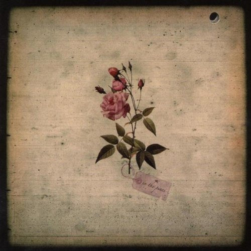 In The Pines - In the Pines [VINYL]