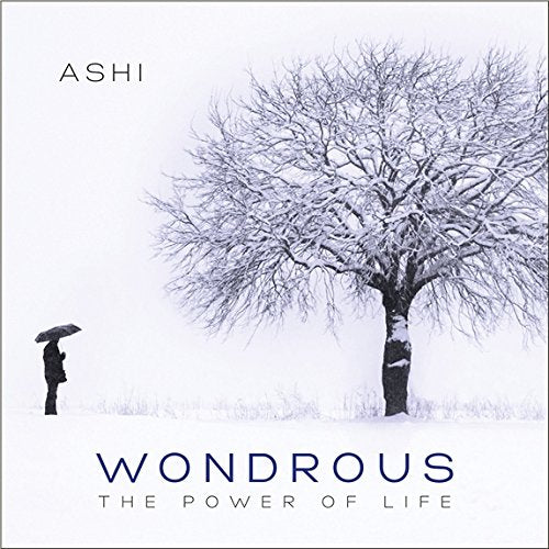 A CD cover featuring a person with an umbrella beside a snowy tree.