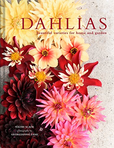 Dahlias: Beautiful varieties for home and garden (Beautiful Varieties/Home/Gardn)