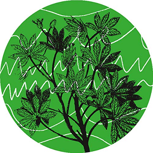 Various - Brasil Novas Frequencies [VINYL]