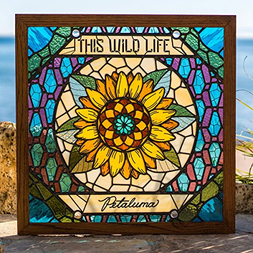 A vinyl record cover featuring a stained-glass sunflower design with "Petaluma" text.