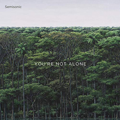 "Album cover featuring a forest landscape with 'You're Not Alone' text overlay."