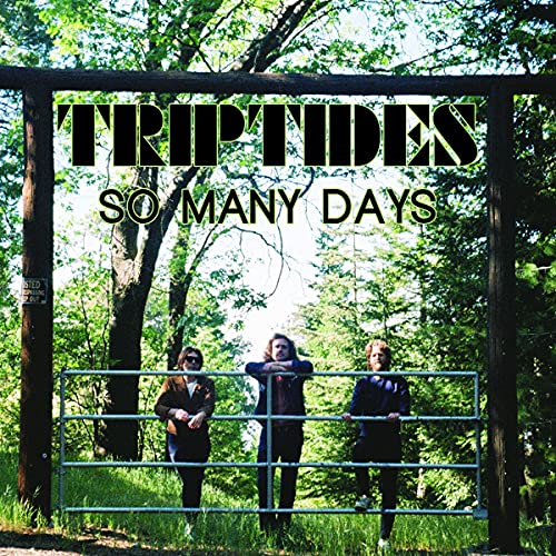 Triptides - So Many Days EP [VINYL]