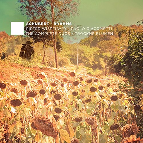 "CD cover featuring a field of wilted sunflowers with trees in the background."