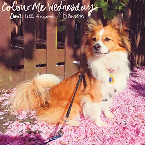 Colour Me Wednesday - Don't Tell Anyone / Blossom [7"] [VINYL]
