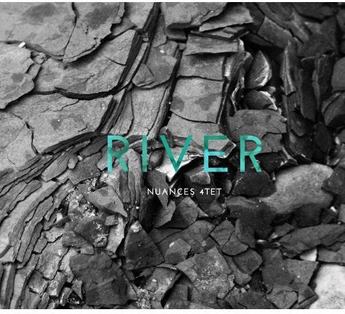 "Album cover with 'RIVER' in teal text on a gray, rocky background."
