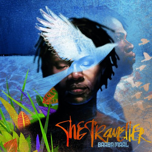 Album cover for "The Traveller" by Baaba Maal, featuring a man with a white bird.