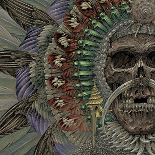 The image is a detailed illustration of a skull adorned with feathers and insects.