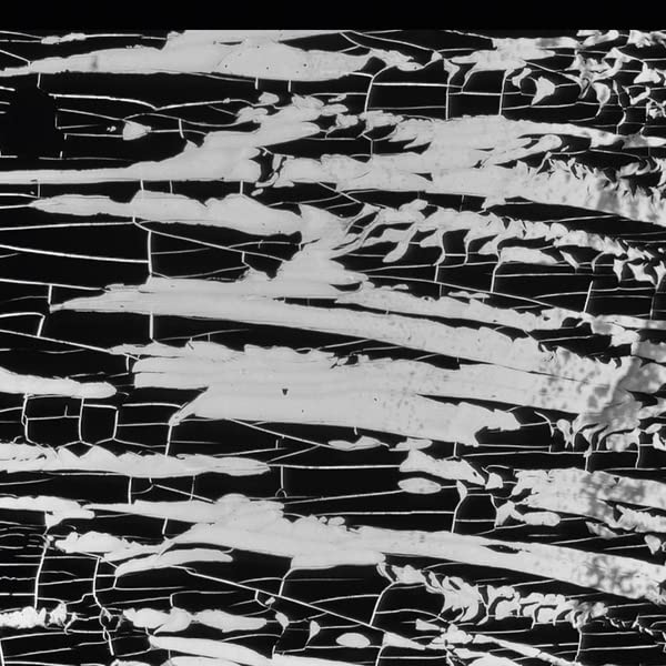 Various - Irreal [CD]