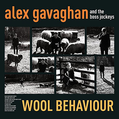 Gavaghan Alex - Wool Behaviour  [VINYL]